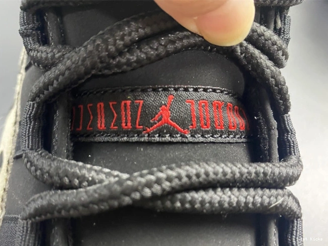1st Kicks JORDAN INSTINCT AR0715-010 AIR ANIMAL 11 0809